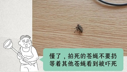 苍蝇看到我拍死了它的同伴，会感到害怕吗？